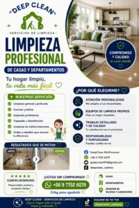 Limpieza Profunda Valdivia DeepClean