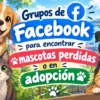 Mascotas perdidas o en Adopción en Valdivia